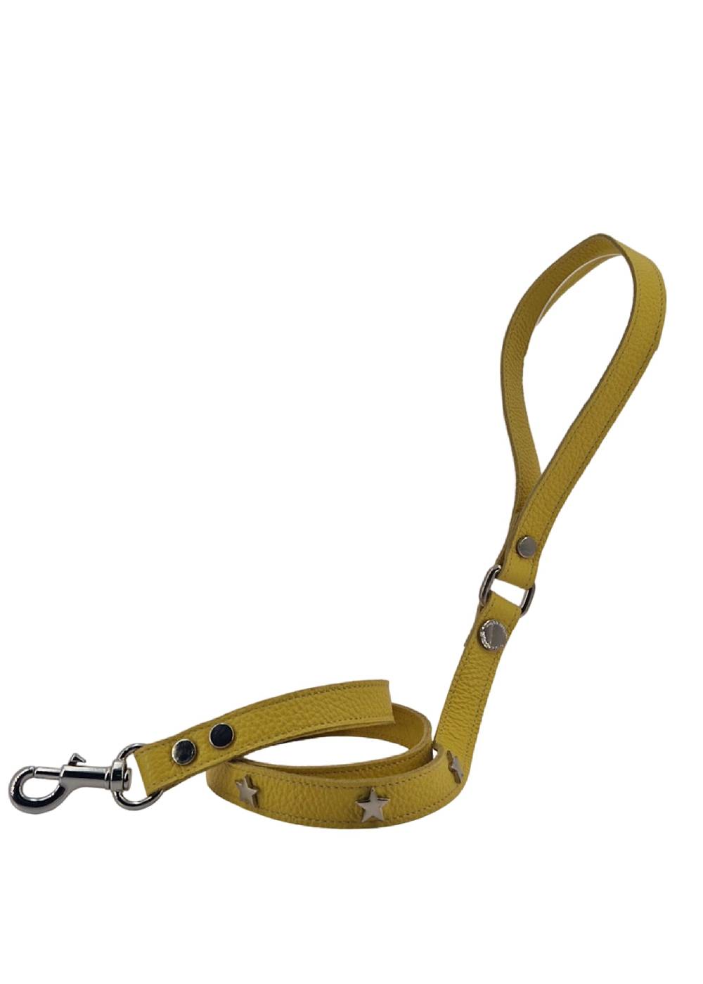 Paola T. Guinzaglio stella