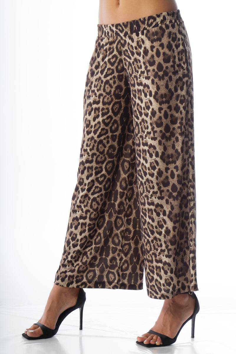 Paola T. Pantalone Cropped