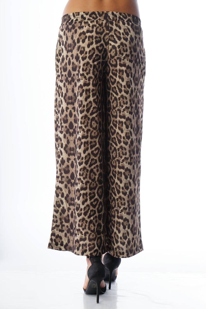 Paola T. Pantalone Cropped