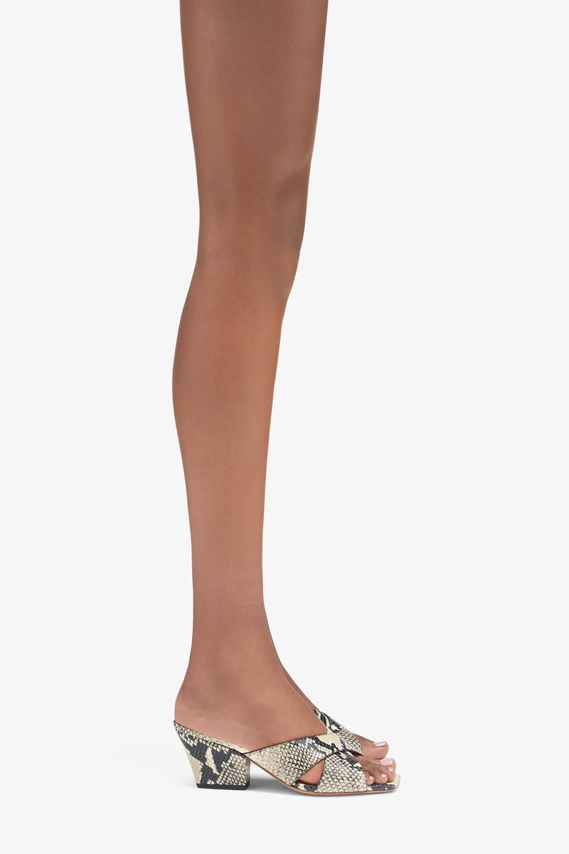 Paris Texas Arizona Mule 60