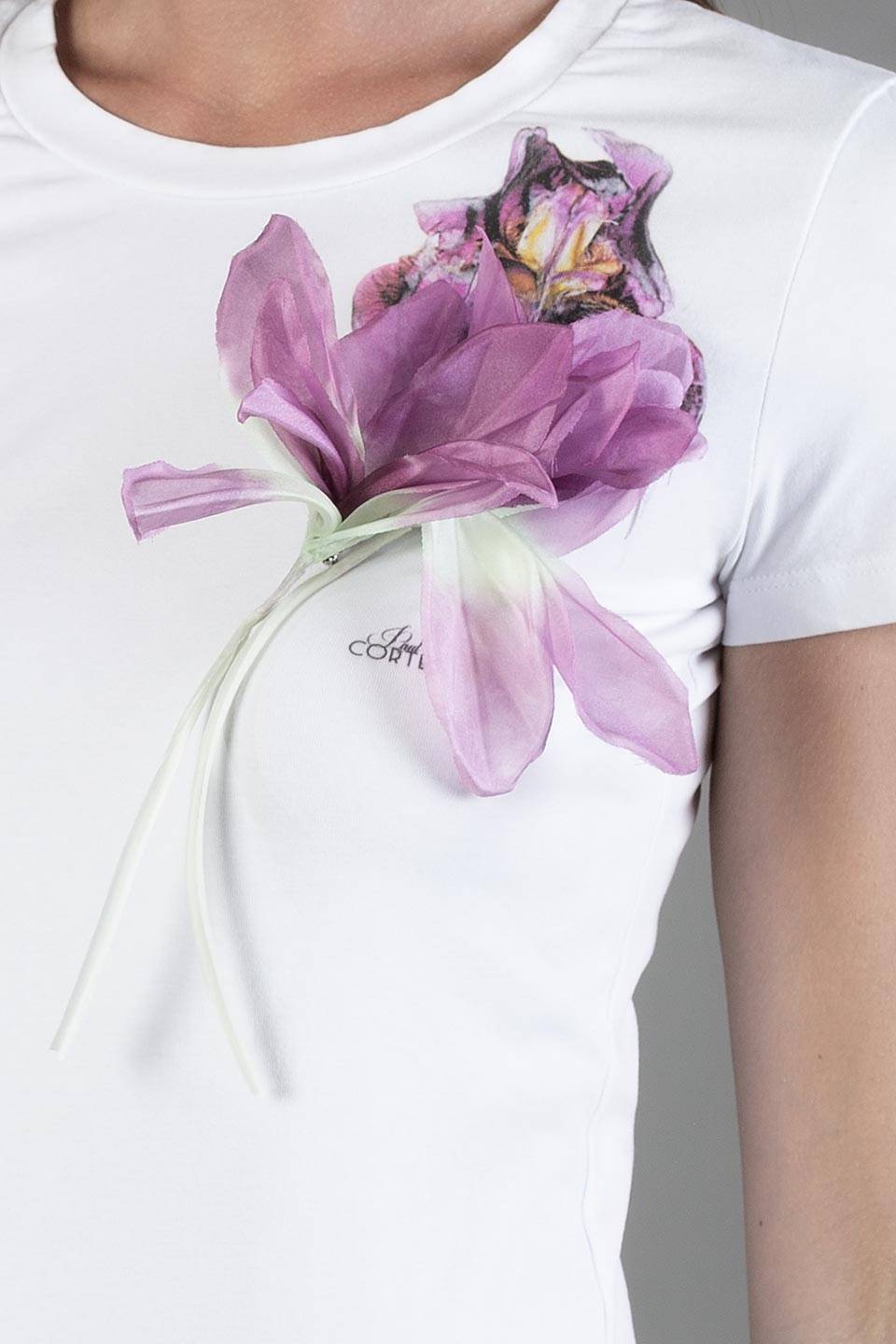 Paul Cortese Iris Deluxe