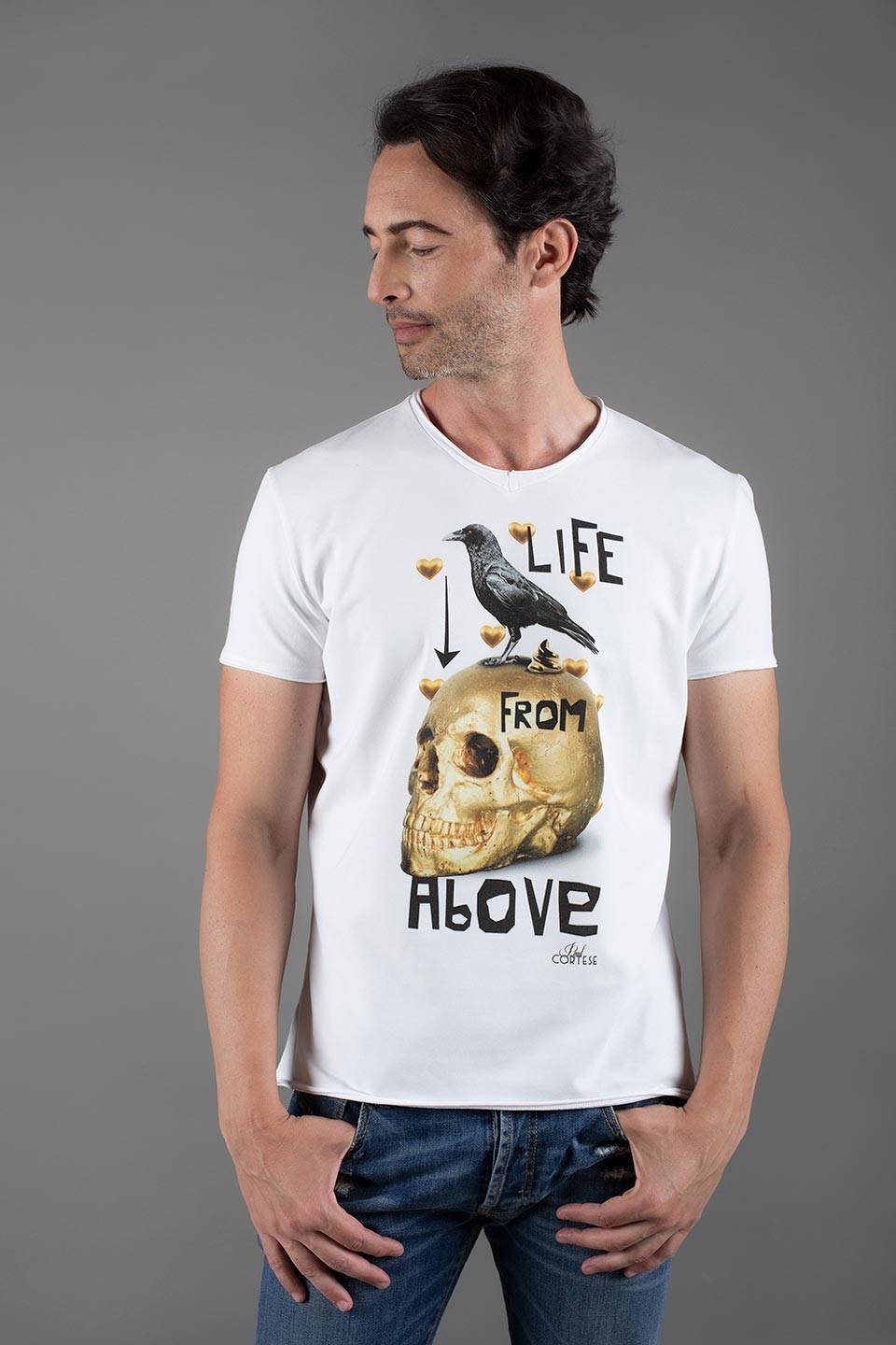 Paul Cortese Life from Above