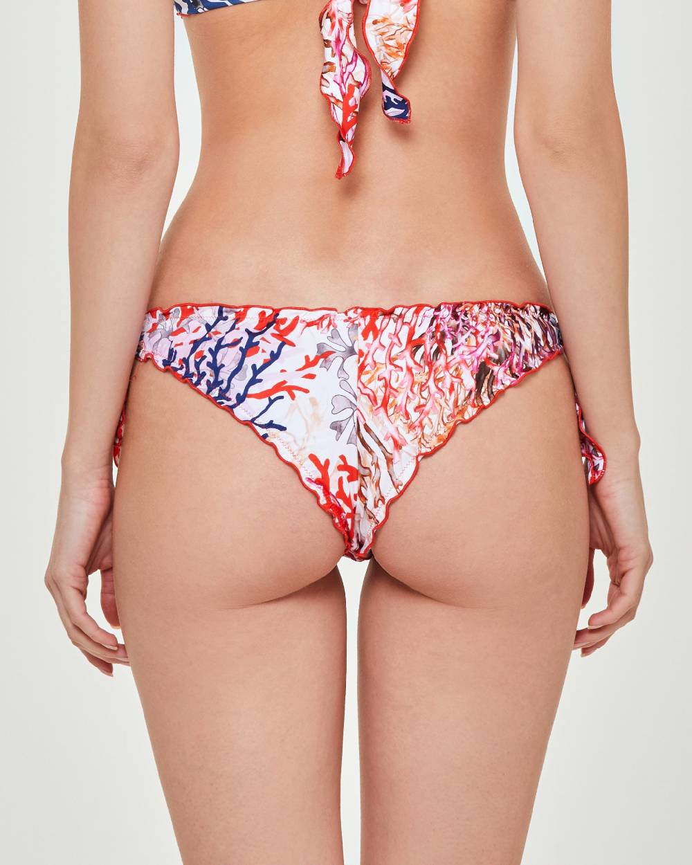 Pompea BRASILIANA SAMOTRACIA