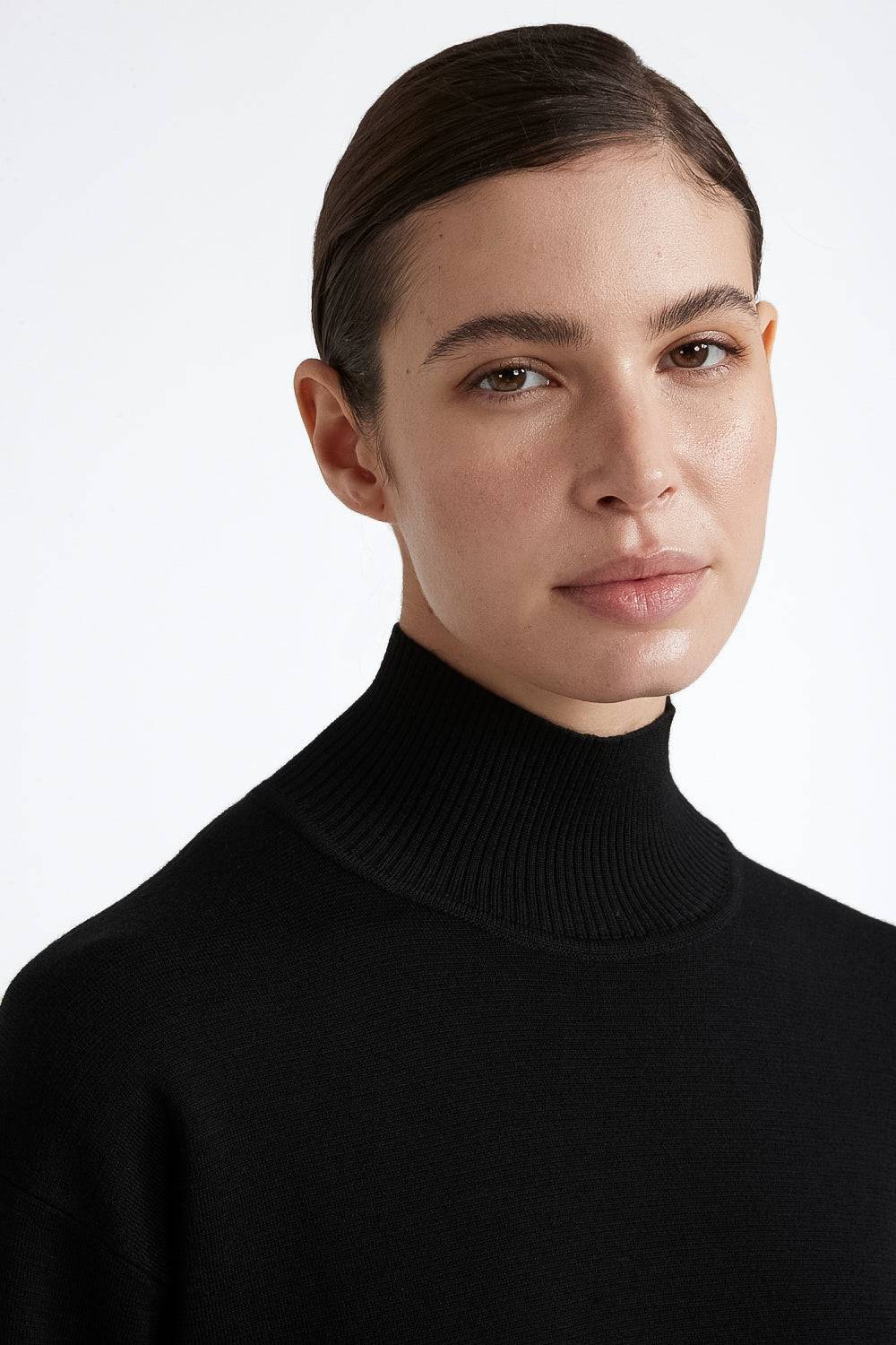 Peserico Maglia Collo Alto In Lana