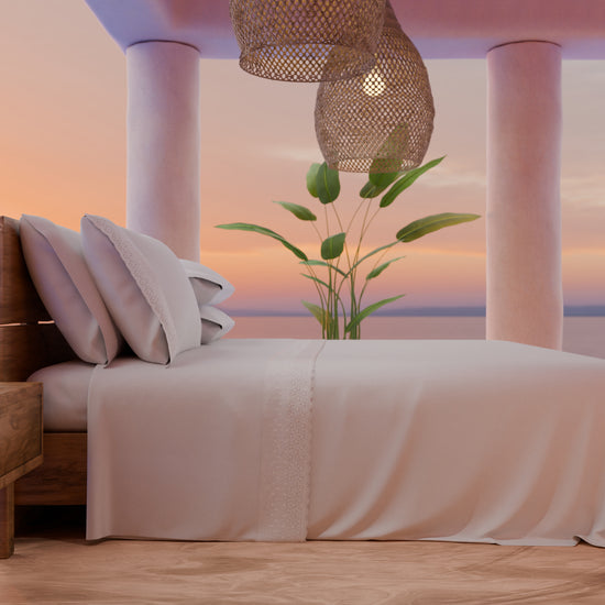 PETTI Lenzuola Matrimoniali In Puro Cotone Percalle Con Balza In Pizzo San Gallo - Bianco