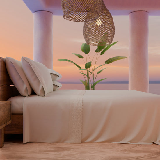 PETTI Lenzuola Matrimoniali In Puro Cotone Percalle Con Balza In Pizzo San Gallo - Panna