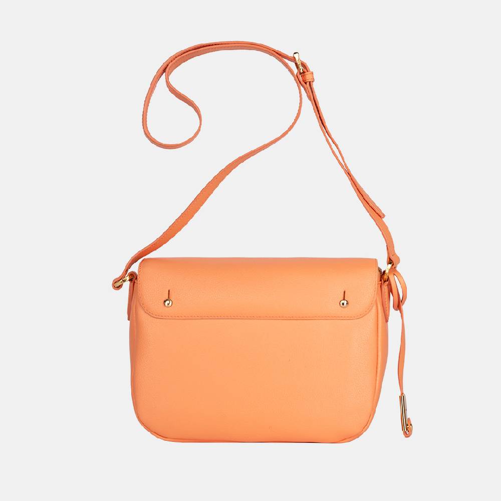 Piero Guidi PIERO GUIDI MESSENGER / TRACOLLA