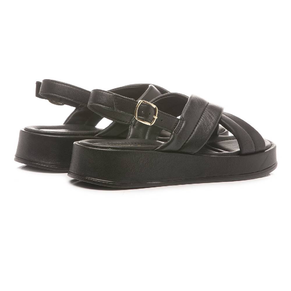 Francesco Brunelli 4326