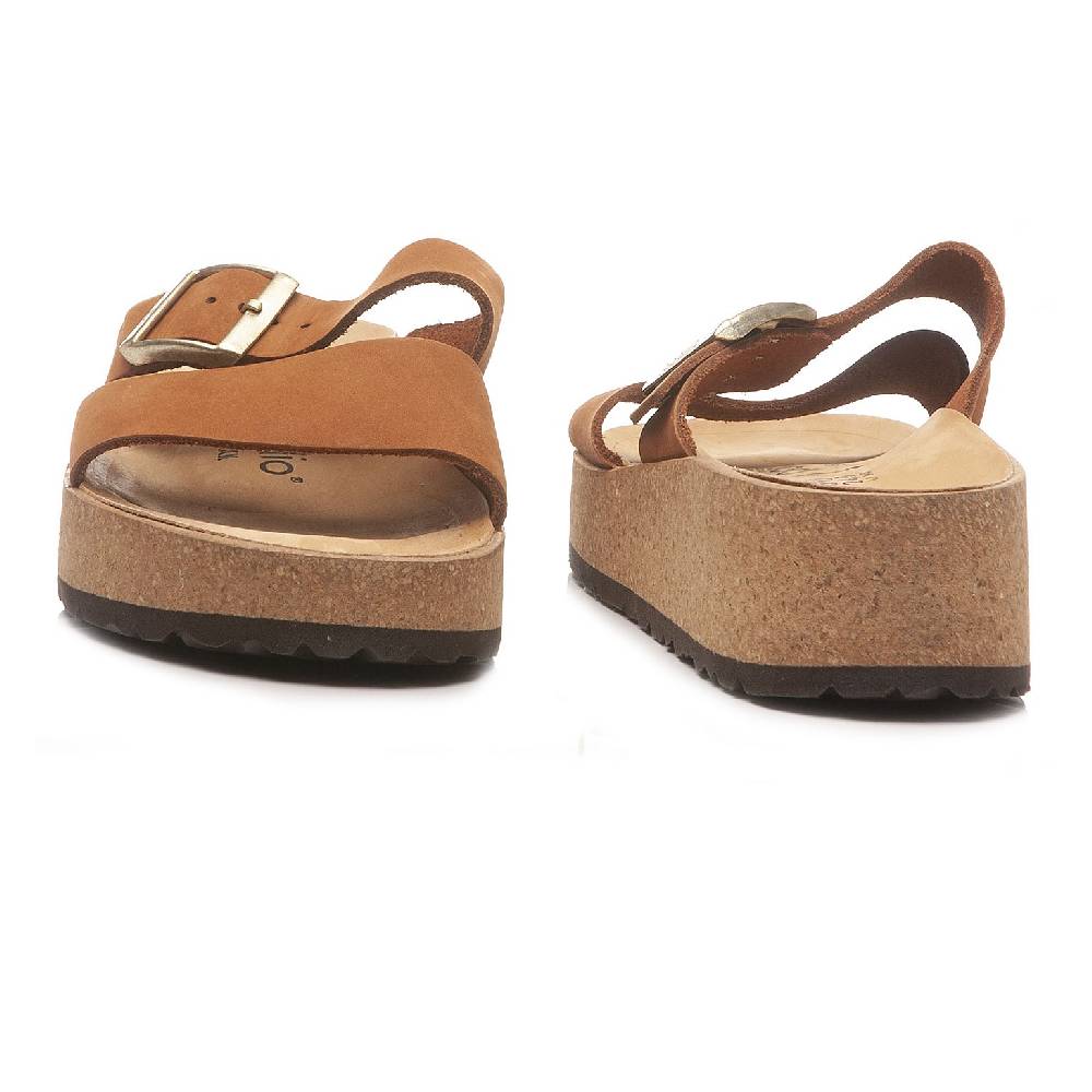 Papillio Almina 1026892