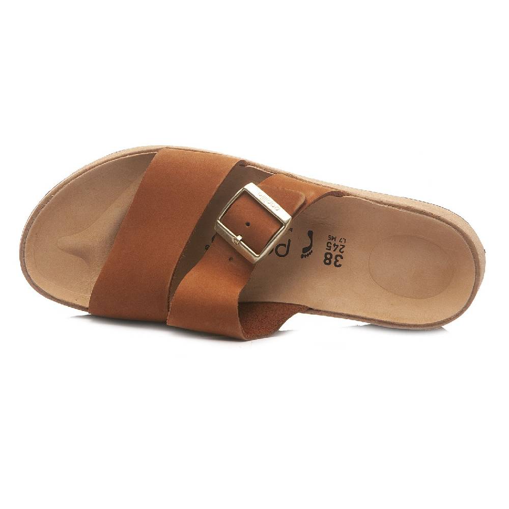 Papillio Almina 1026892