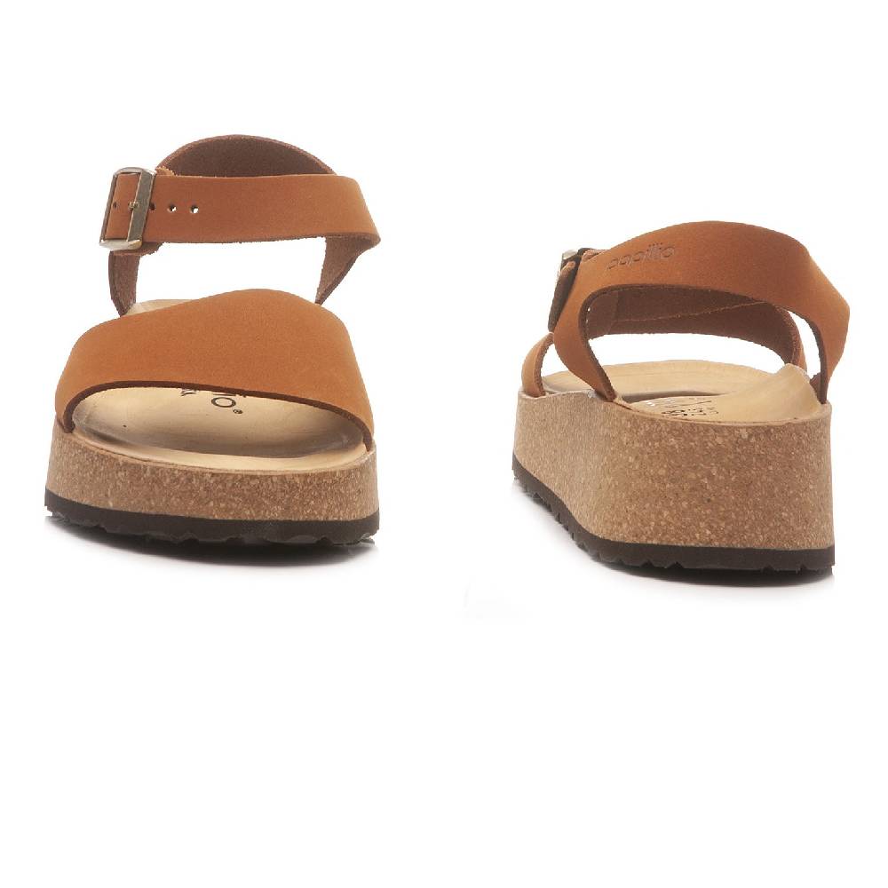 Papillio Glenda 1020042