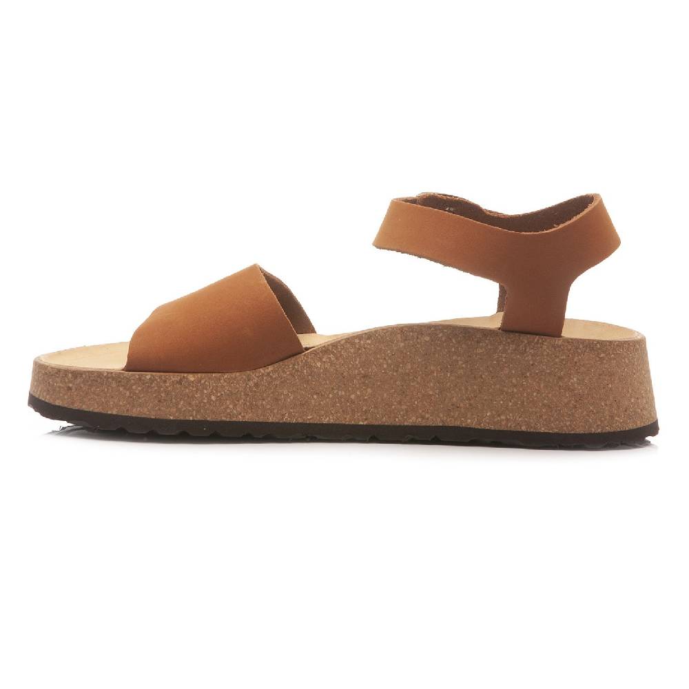 Papillio Glenda 1020042