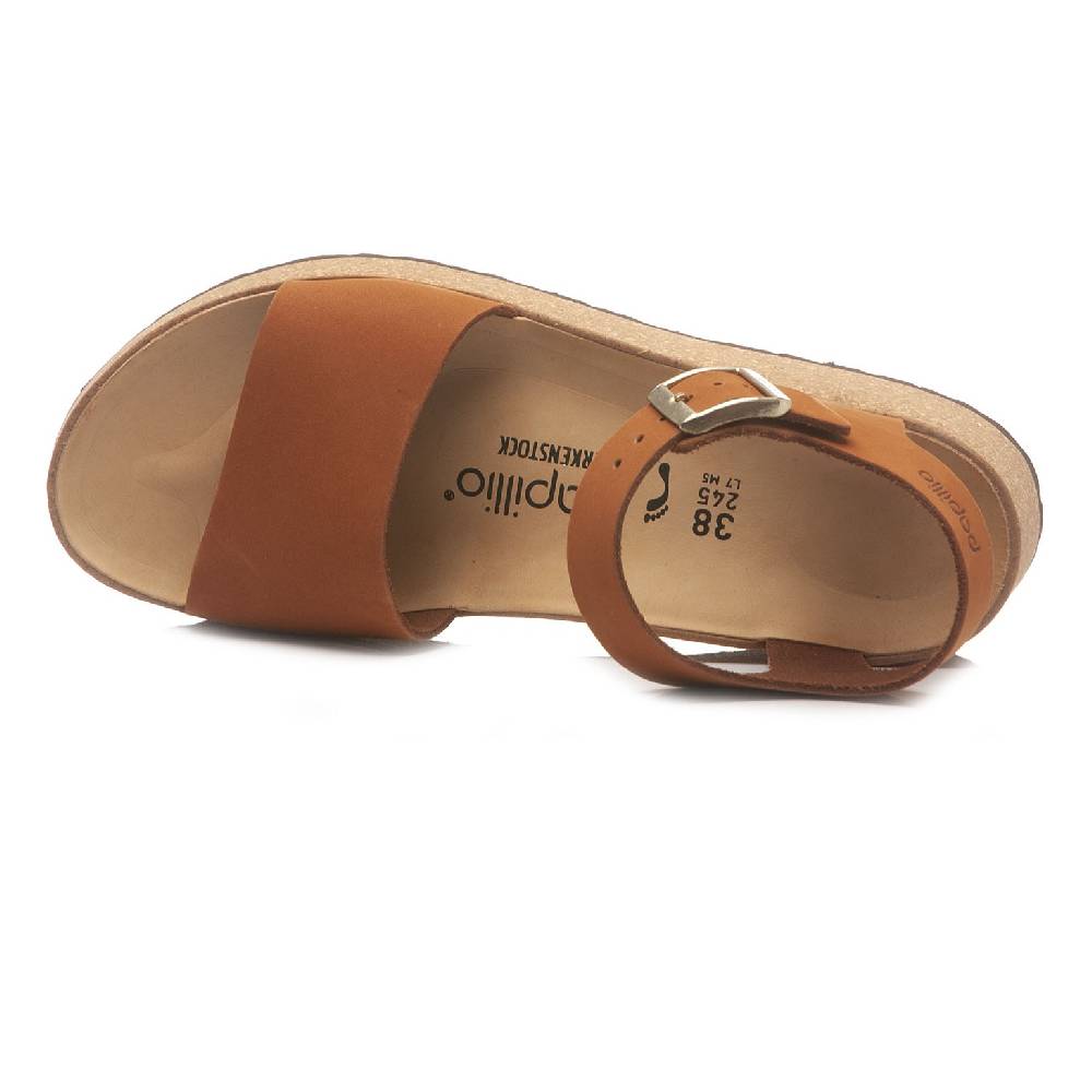 Papillio Glenda 1020042