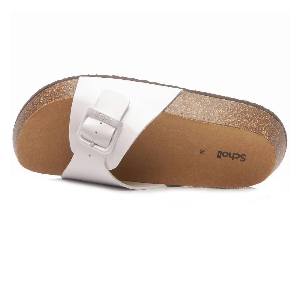 Scholl Kathleen F31147 1065 380