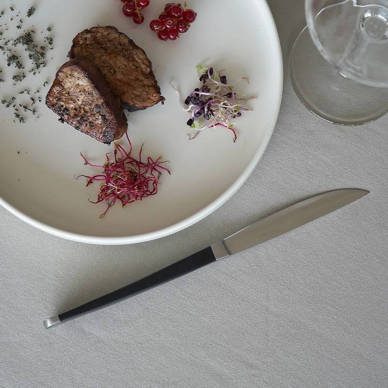 Pintinox Audrey » Coltello Bistecca Lama Liscia E Seghettata