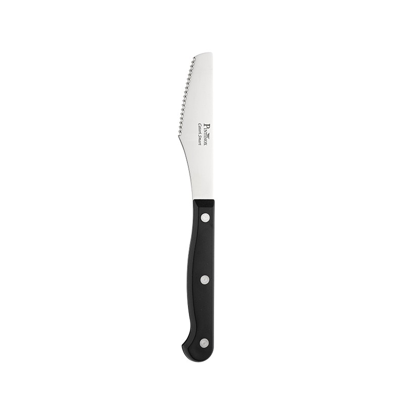 Pintinox Coltello pizza Cateri Smart » coltello pizza blister 6 pz