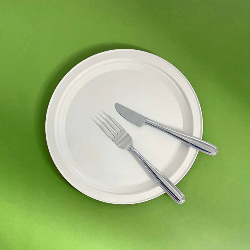 Pintinox Piatto Use&Reuse » Set 6 Pz Piatto In Acciaio Riutilizzabile Per Pic-nic E Party