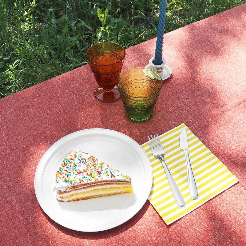 Pintinox Piatto Use&Reuse » Set 6 Pz Piatto In Acciaio Riutilizzabile Per Pic-nic E Party