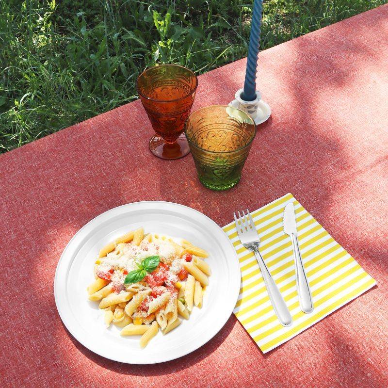 Pintinox Piatto Use&Reuse » Set 6 Pz Piatto In Acciaio Riutilizzabile Per Pic-nic E Party