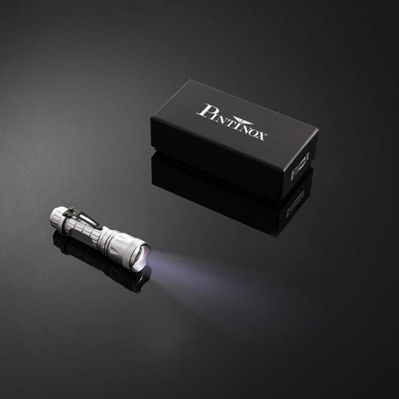 Pintinox Outdoor » Torcia LED