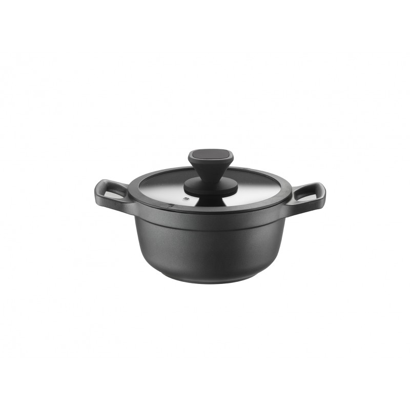 Pintinox PRO » Coperchi