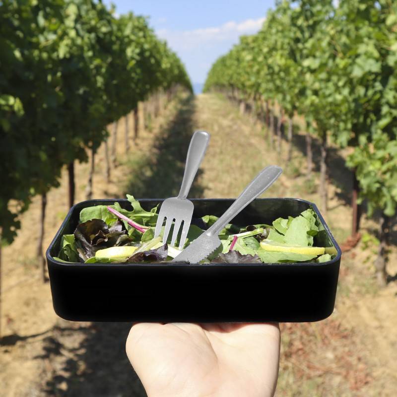 Pintinox USE&REUSE » Coltelli Tavola