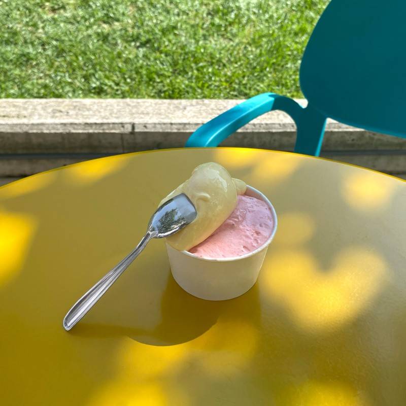 Pintinox USE&REUSE » Paletta Gelato