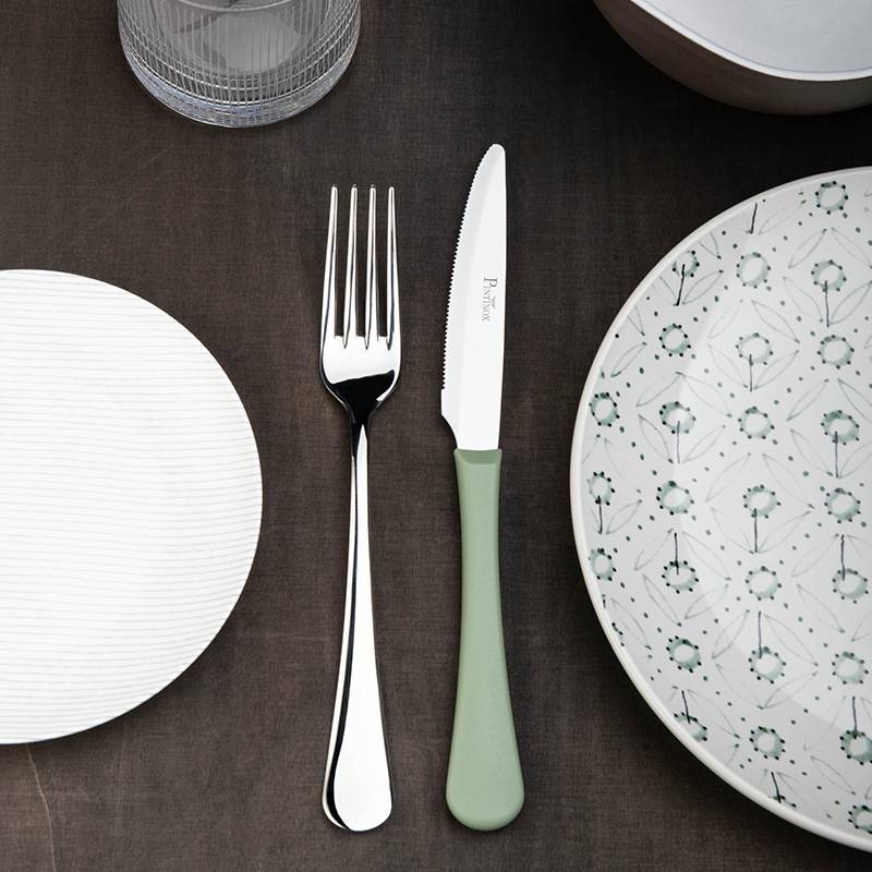 Pintinox Stresa Colour » Coltello Multiuso Manico Salvia