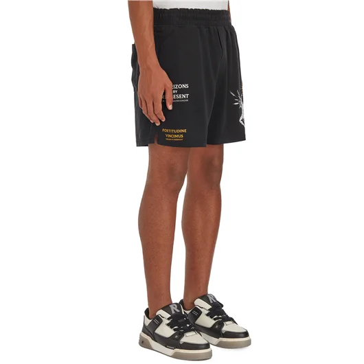 REPRESENT BERMUDA STAMPA ICARUS