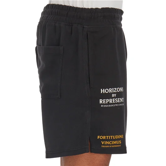 REPRESENT BERMUDA STAMPA ICARUS