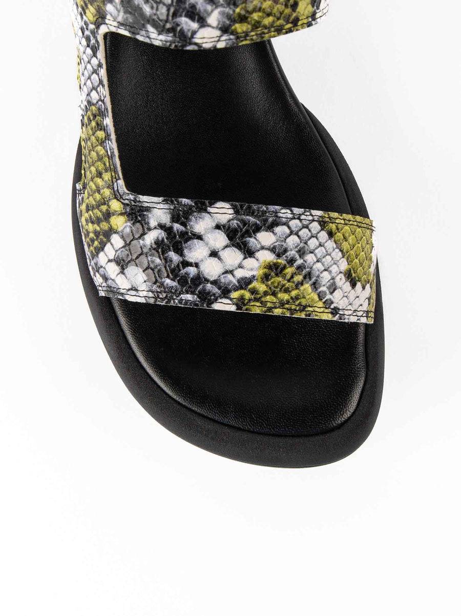 Poesie Veneziane ASH