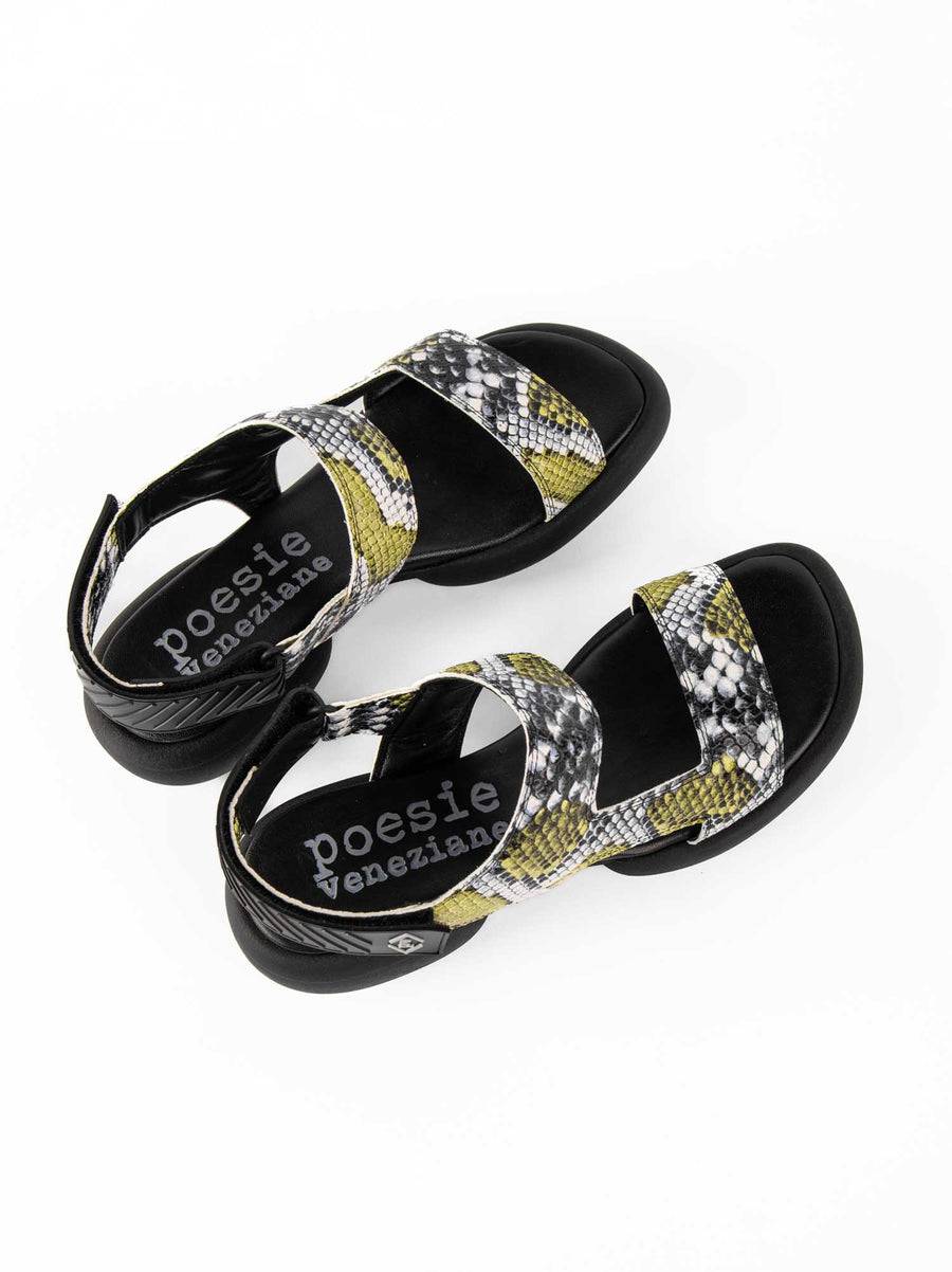 Poesie Veneziane ASH