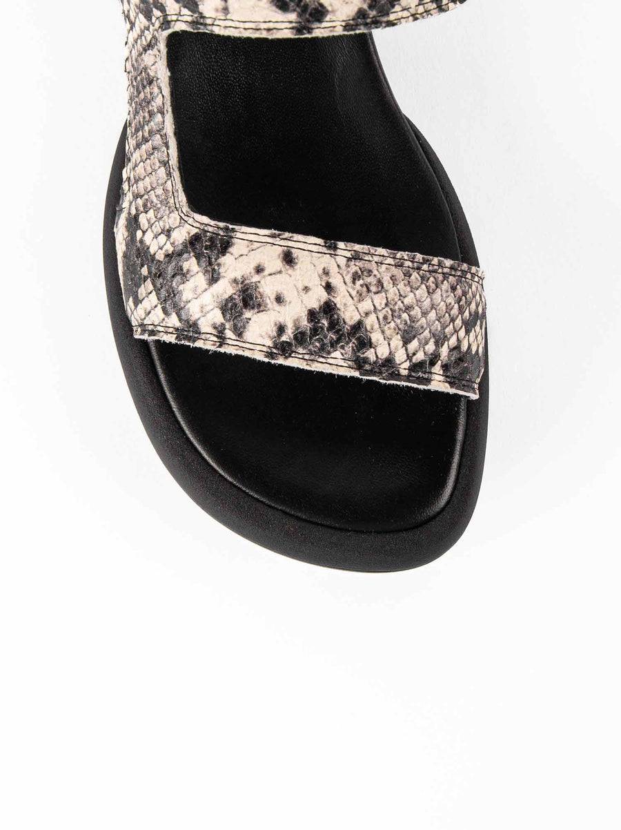 Poesie Veneziane ASH