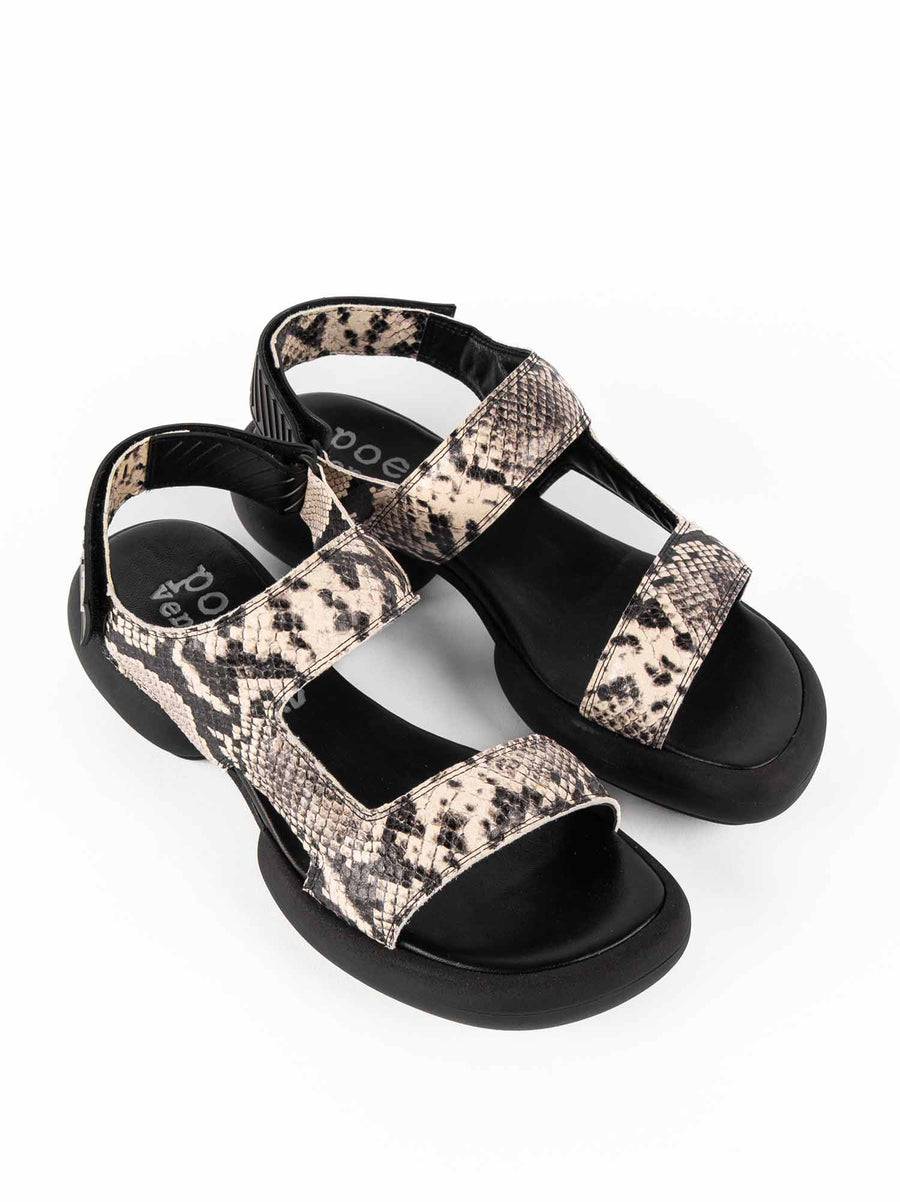 Poesie Veneziane ASH