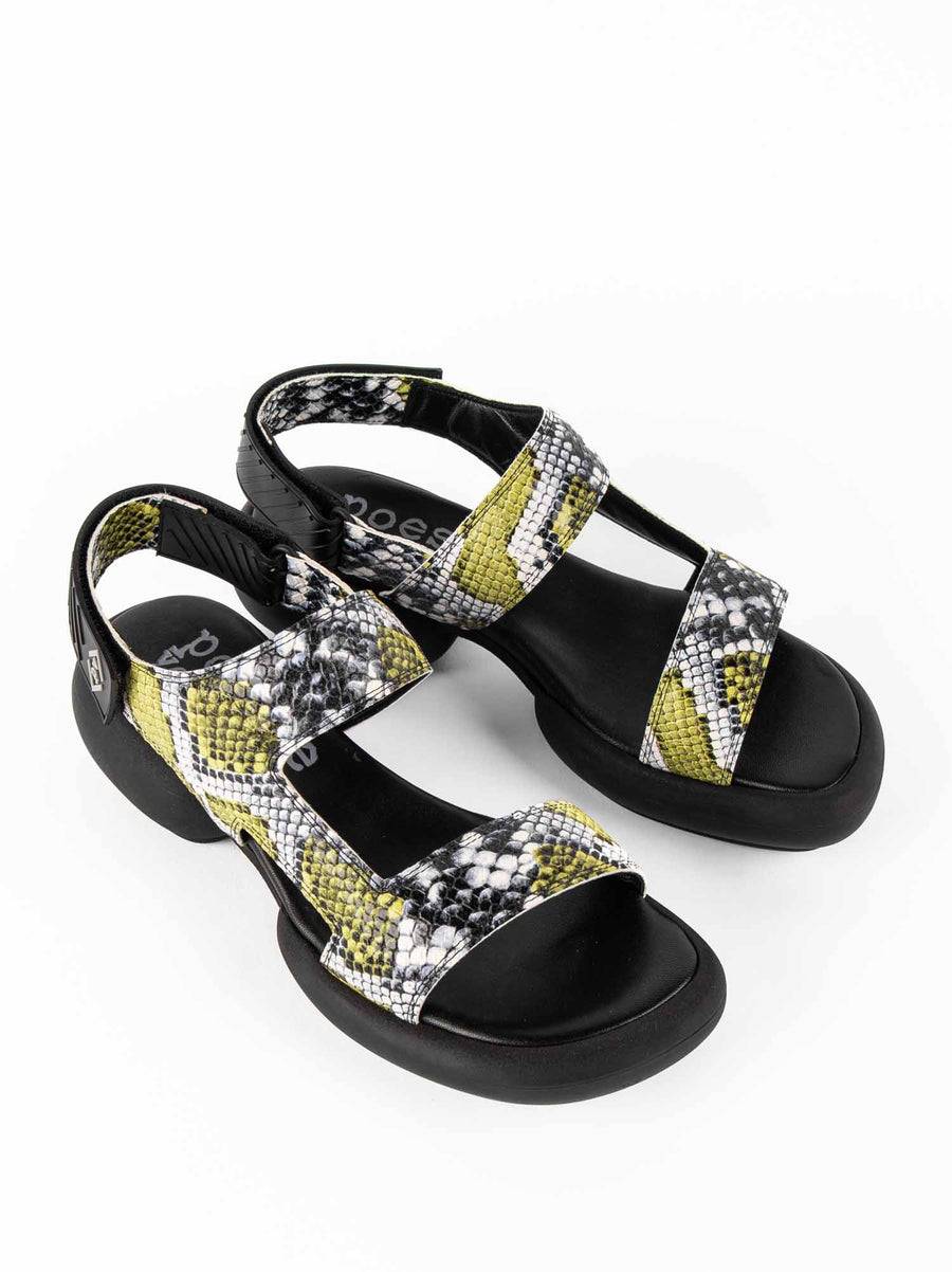 Poesie Veneziane ASH