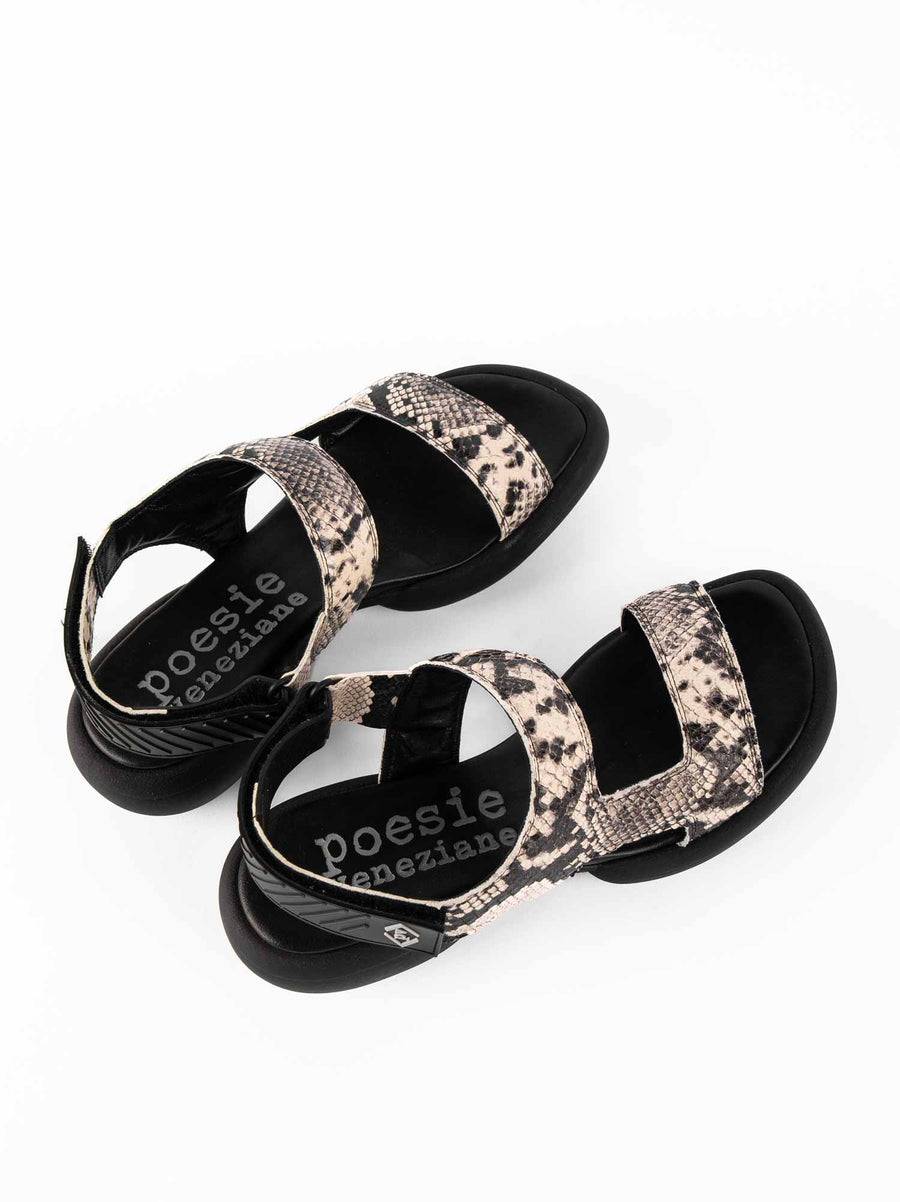 Poesie Veneziane ASH