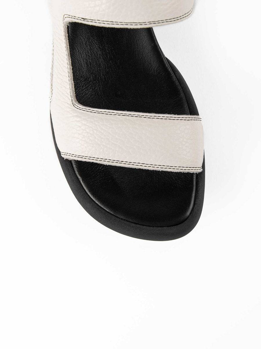 Poesie Veneziane ASH