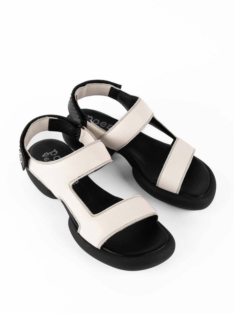 Poesie Veneziane ASH