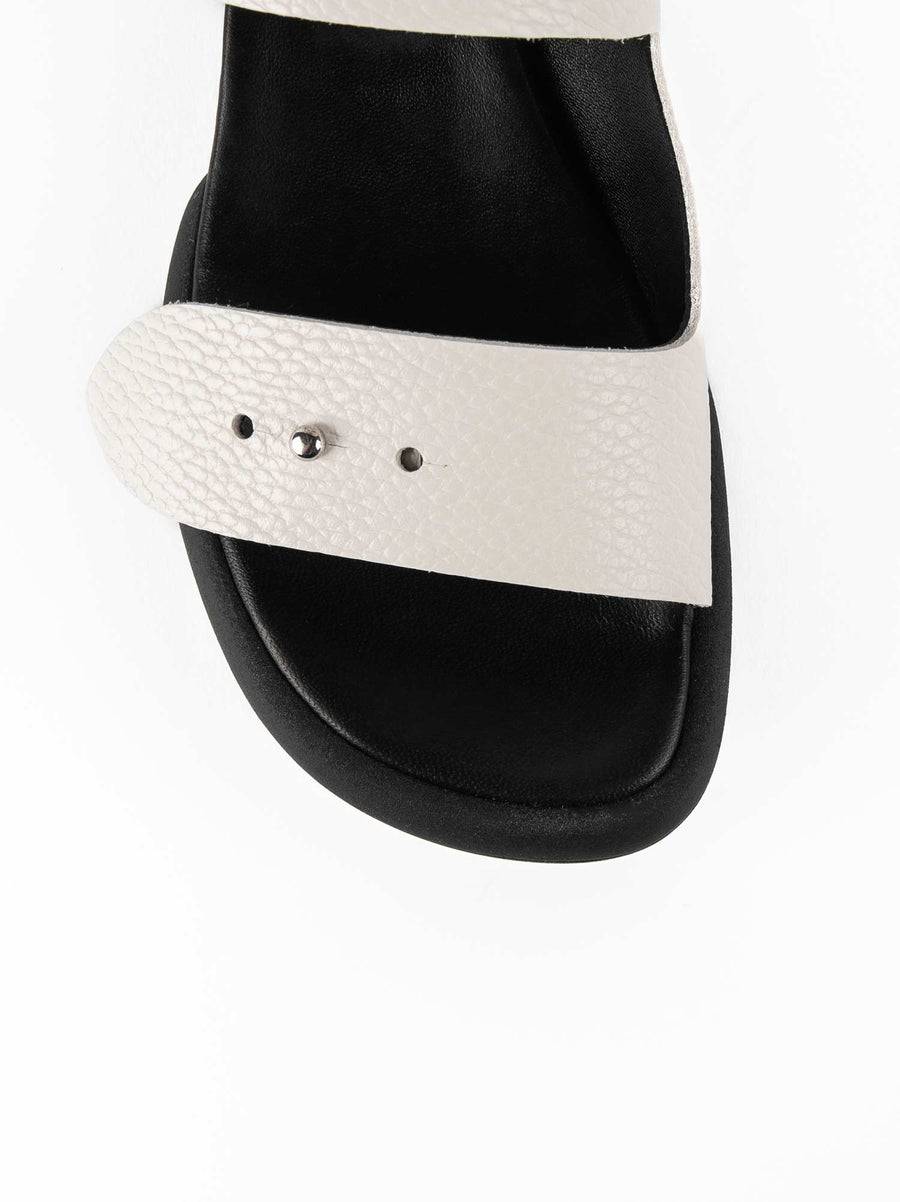 Poesie Veneziane INES