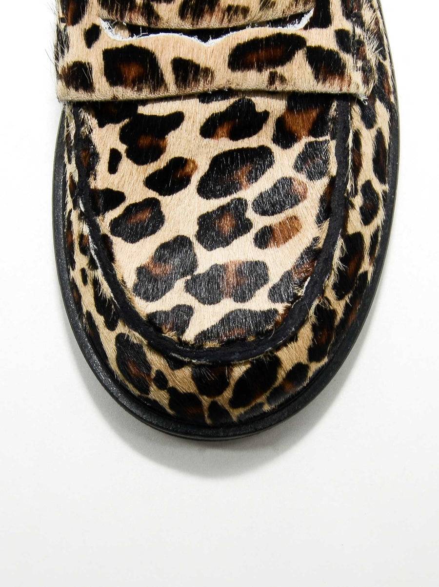 Poesie Veneziane OLLIE