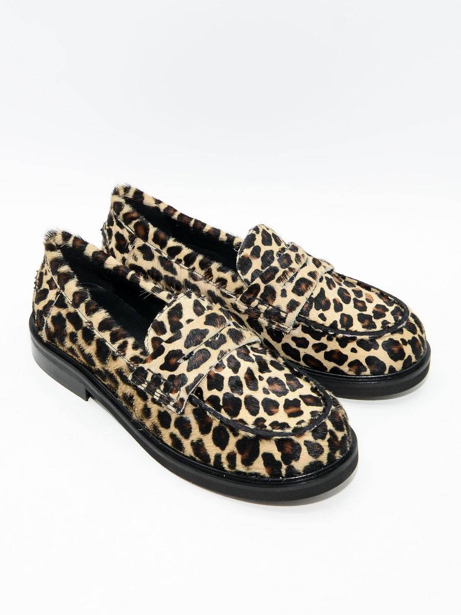 Poesie Veneziane OLLIE