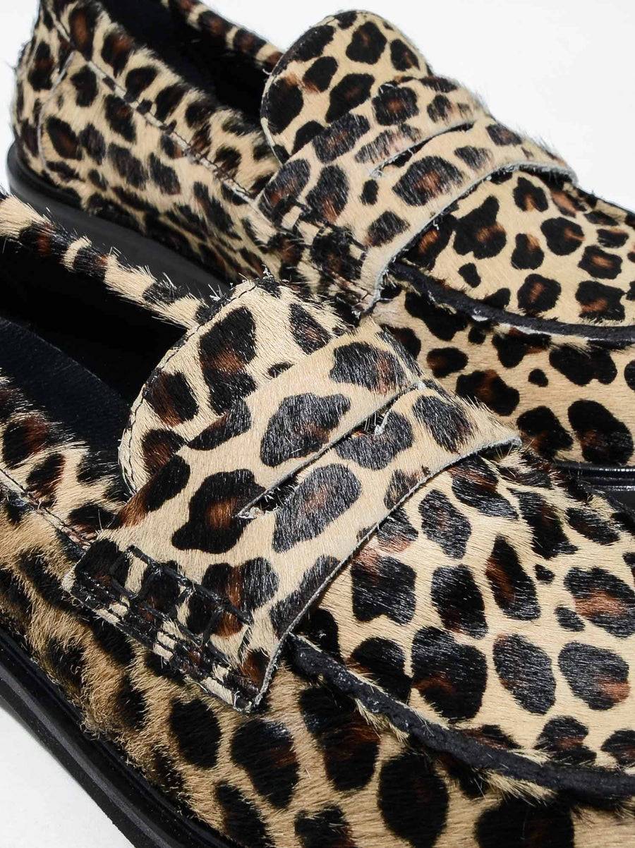 Poesie Veneziane OLLIE