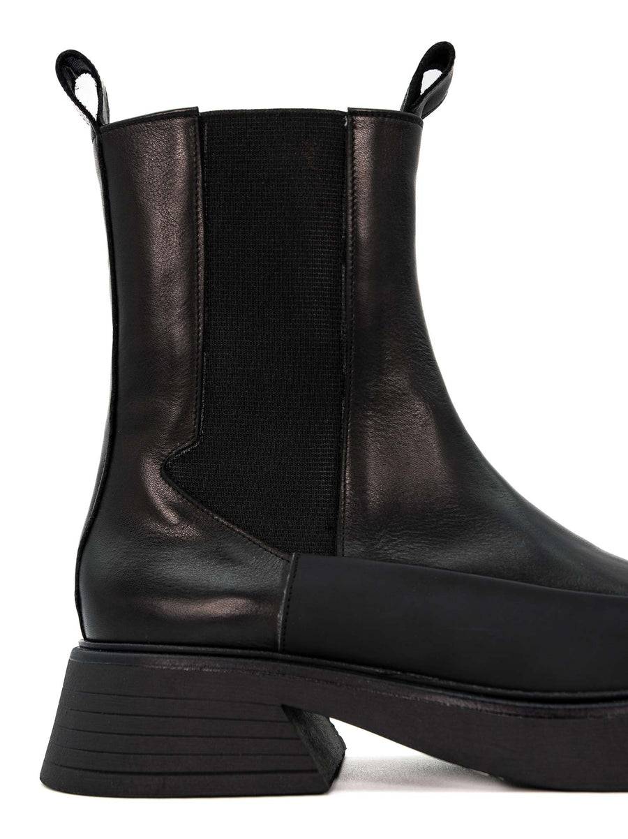 Poesie Veneziane STELLA