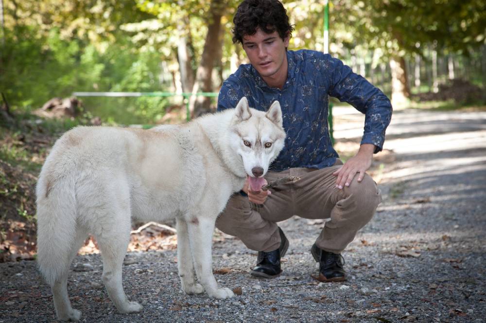 Poggianti Camicia Uomo In Denim Con Ricami FIRENZE-62-250