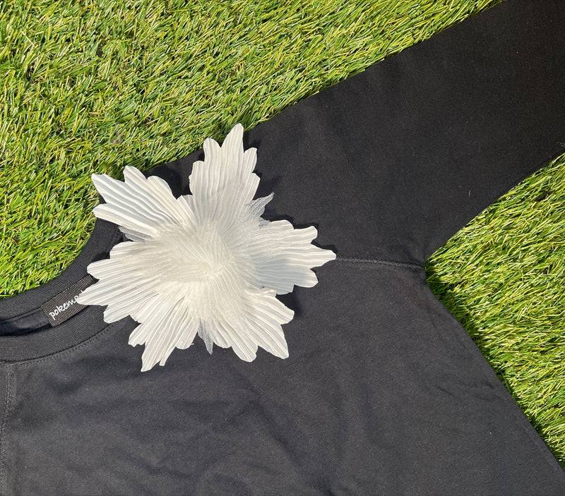 Pokemaoke Alice Strega