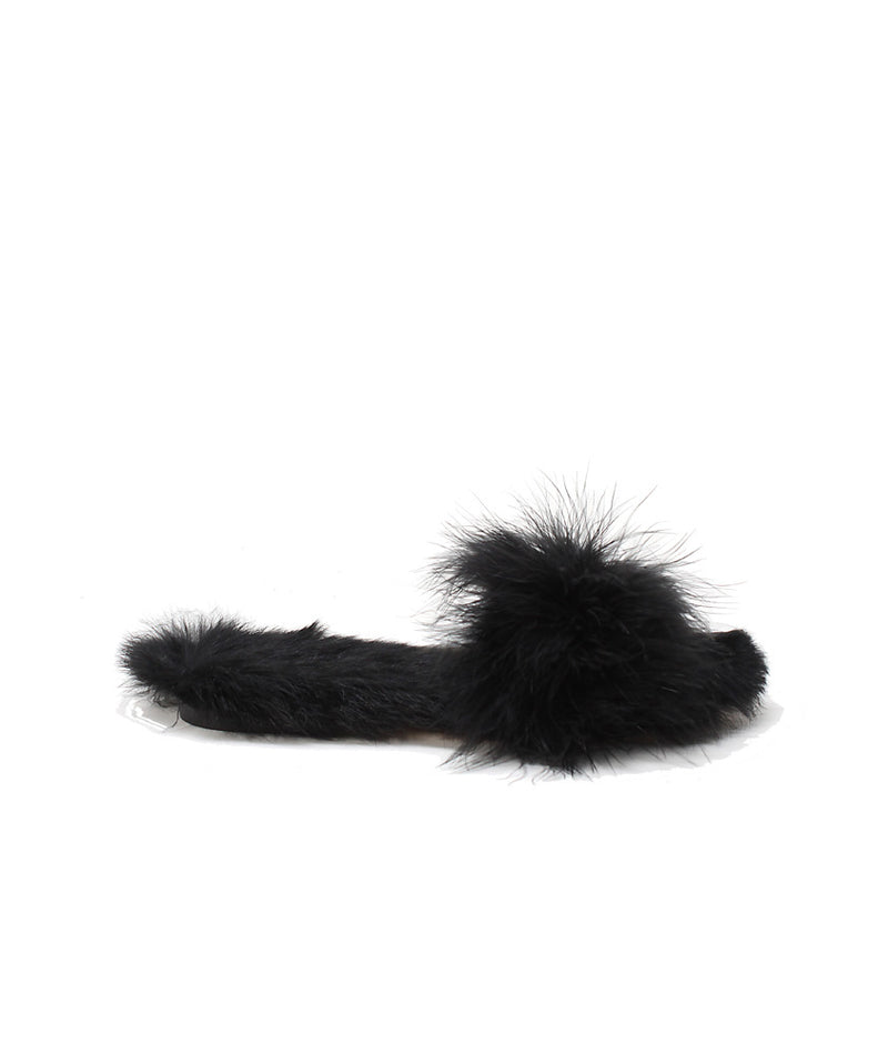 Pokemaoke Calistemone Noir