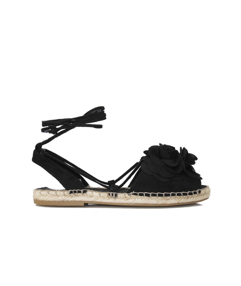 Pokemaoke Delfina Camelie