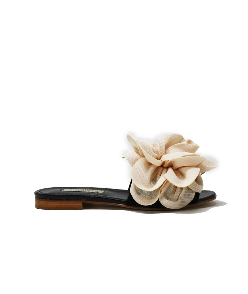 Pokemaoke Jolie camelia colore rosa