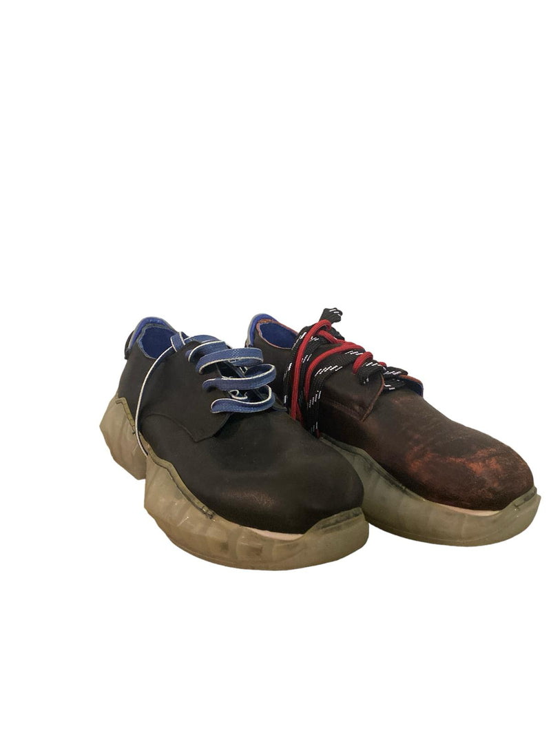 Pokemaoke stringata bicolor