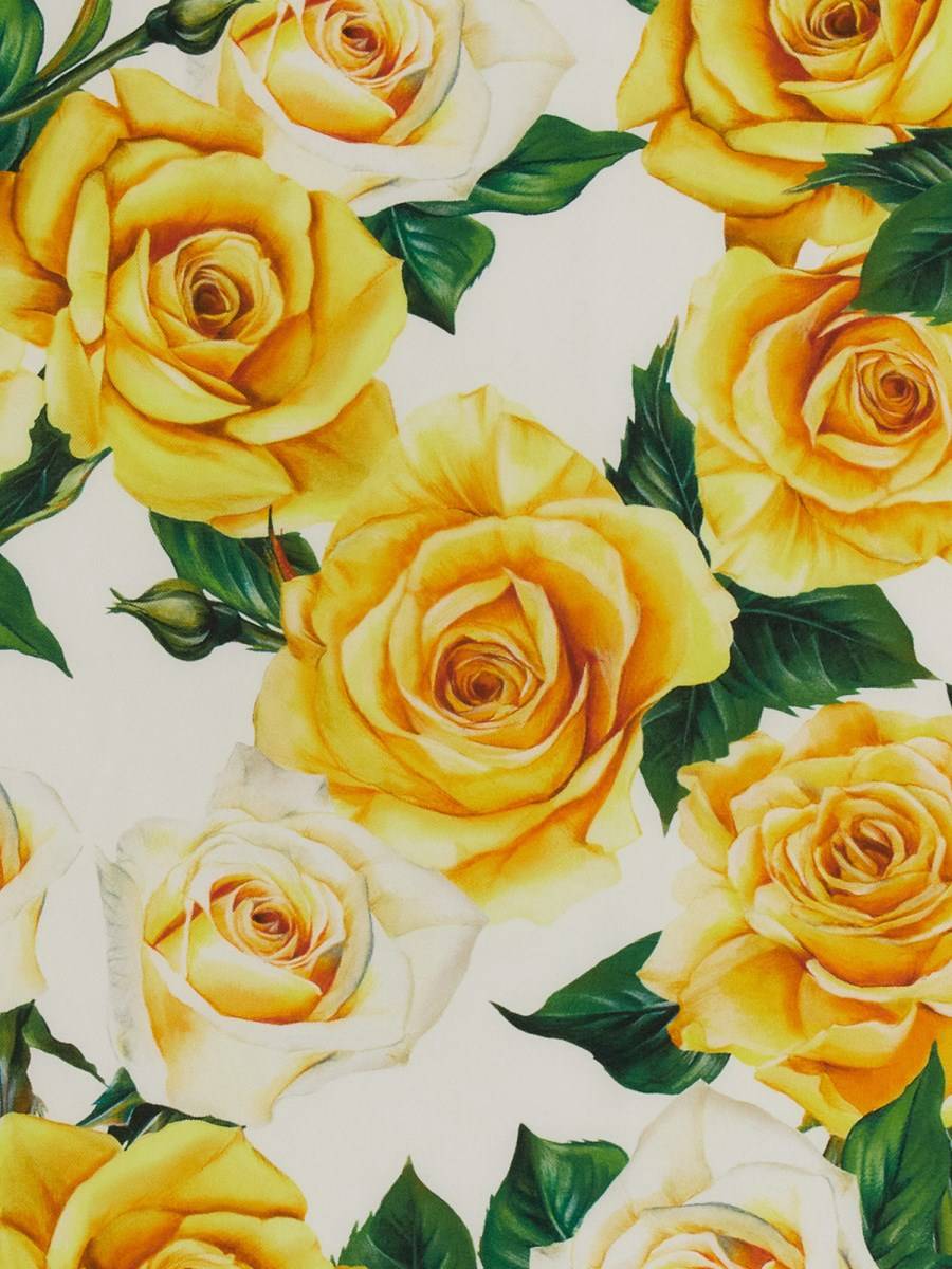 DOLCE & GABBANA FOULARD IN SETA